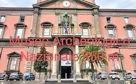 Cerasella